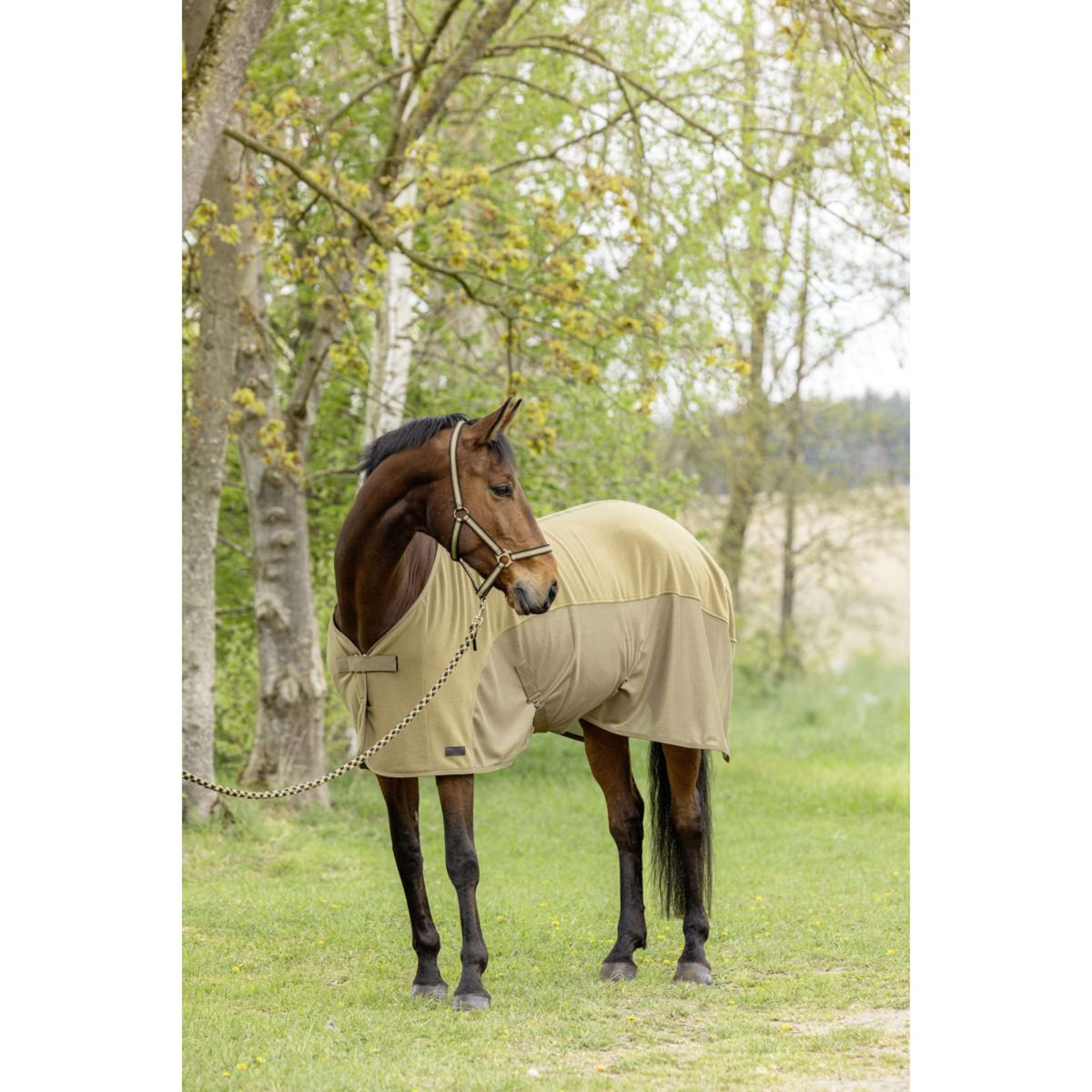 Covalliero Zweetdeken SS26 Walnoot