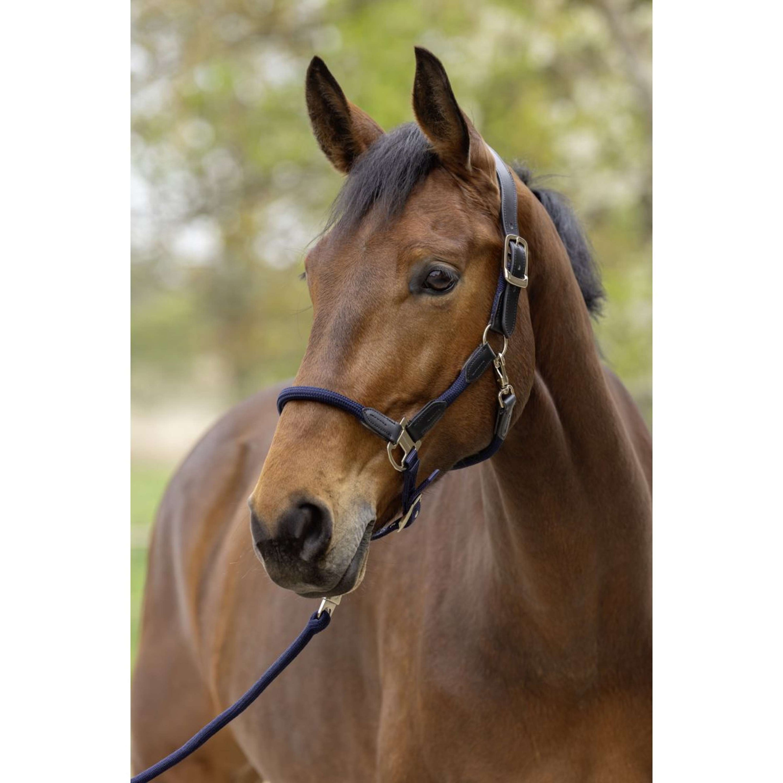 Covalliero Halster SS26 Donker Navy Covalliero Halster SS26 Donker Navy
