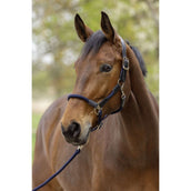 Covalliero Halster SS26 Donker Navy