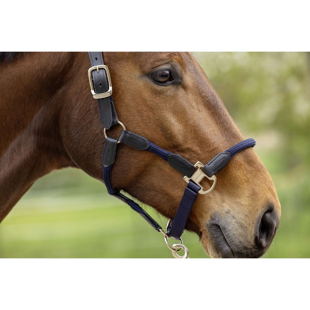 Covalliero Halster SS26 Donker Navy