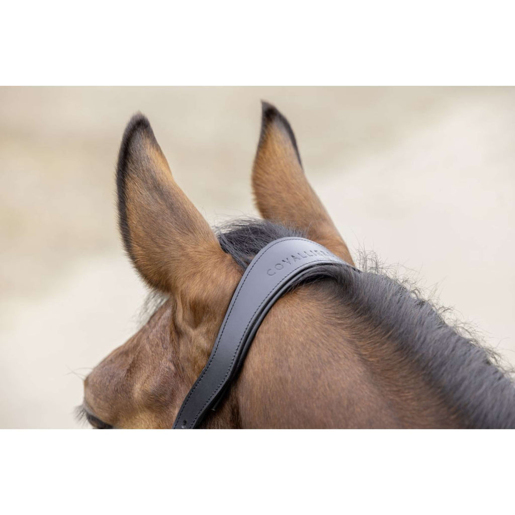 Covalliero Halster SS26 Donker Navy