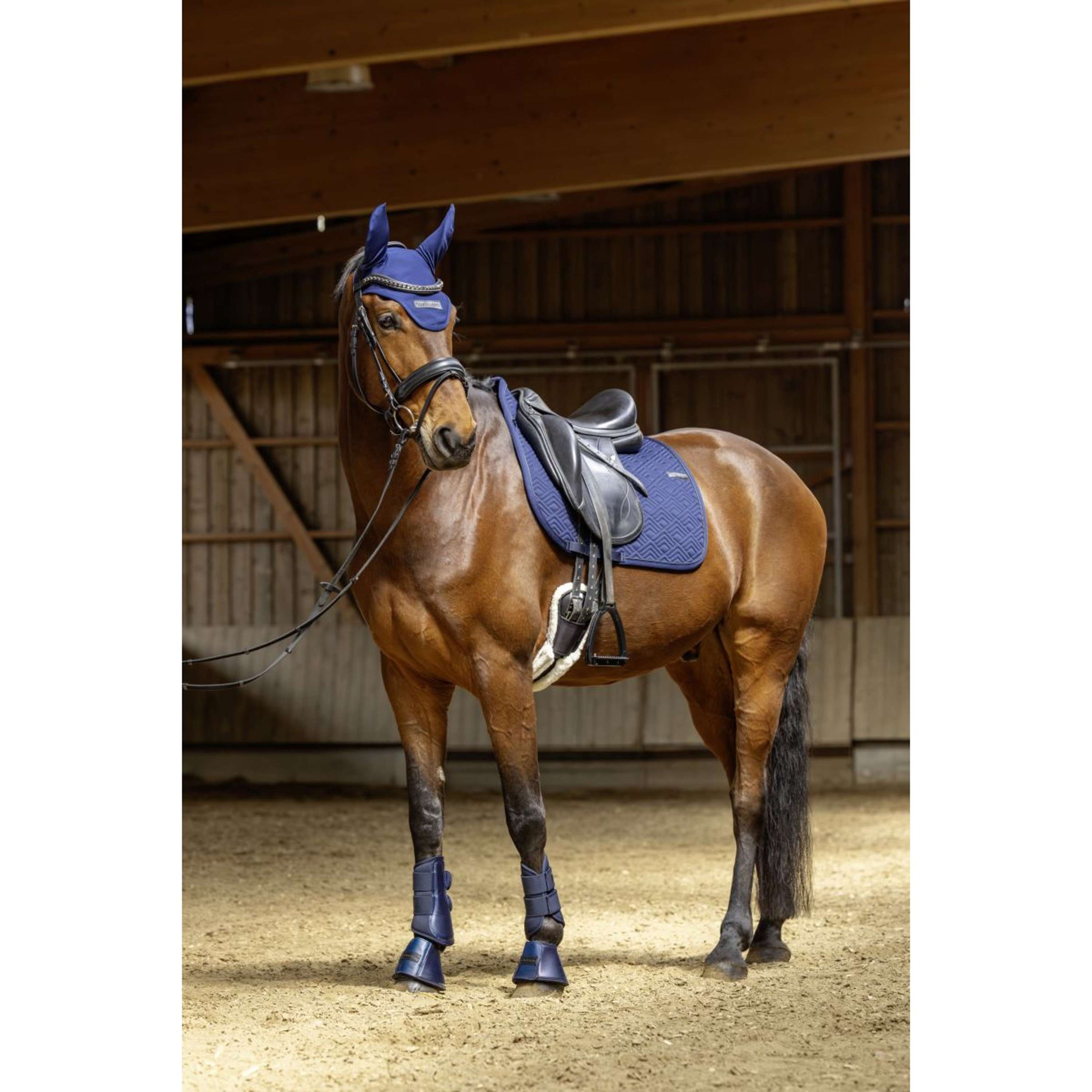 Covalliero Zadeldekje SS26 Veelzijdigheid Donker Navy