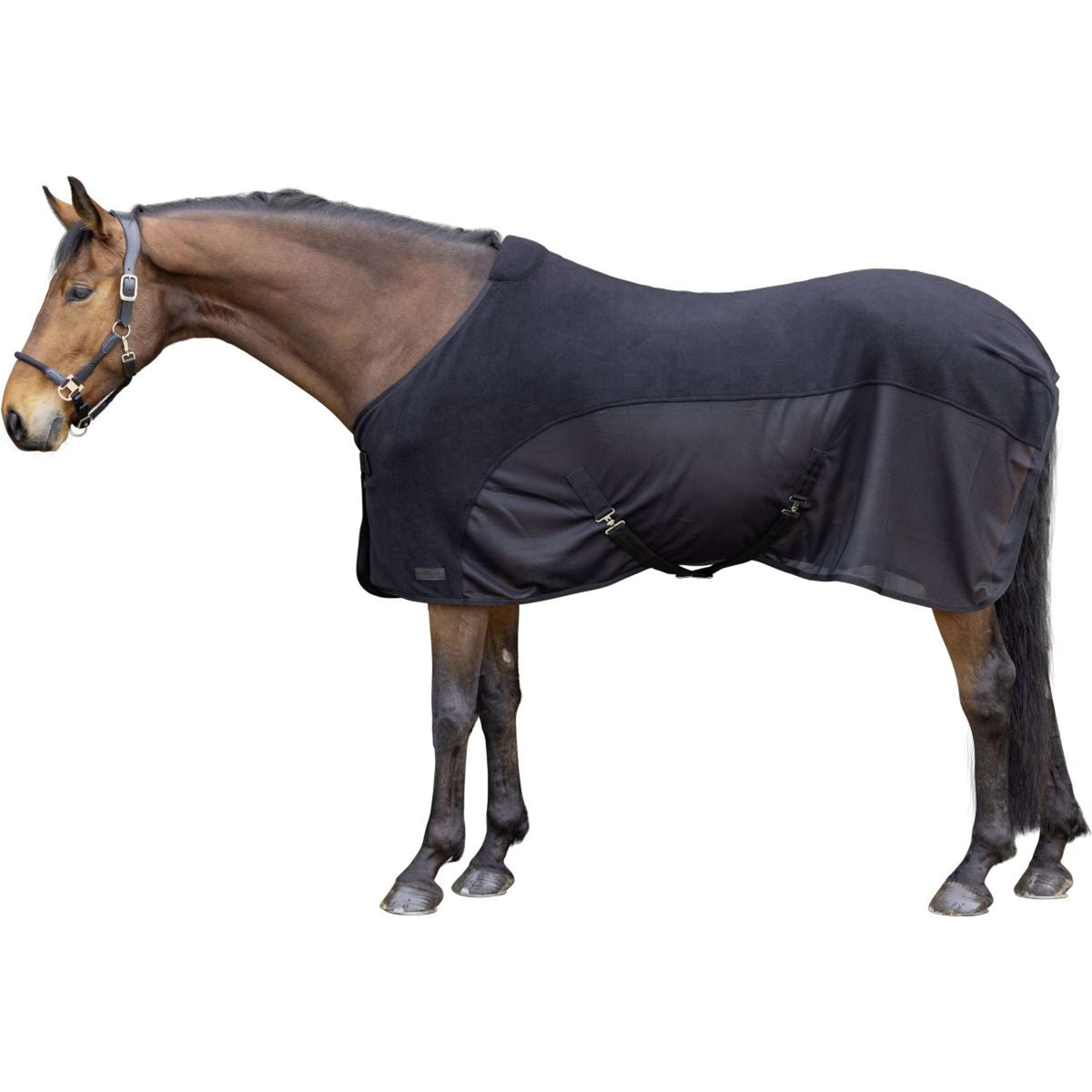 Covalliero Zweetdeken SS26 Zwart