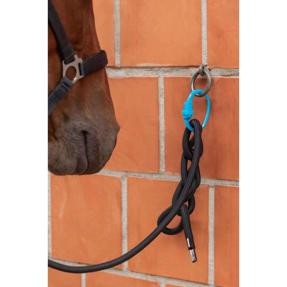 Kerbl Veiligheidsring Safety Tie-Down Rood/Zwart/Blauw