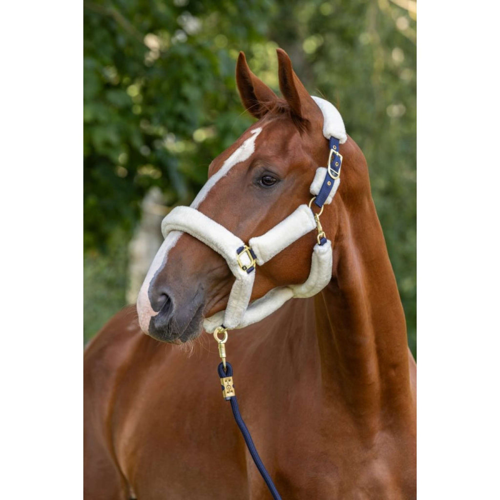 Covalliero Halster Supersoft 2.0 Blauw