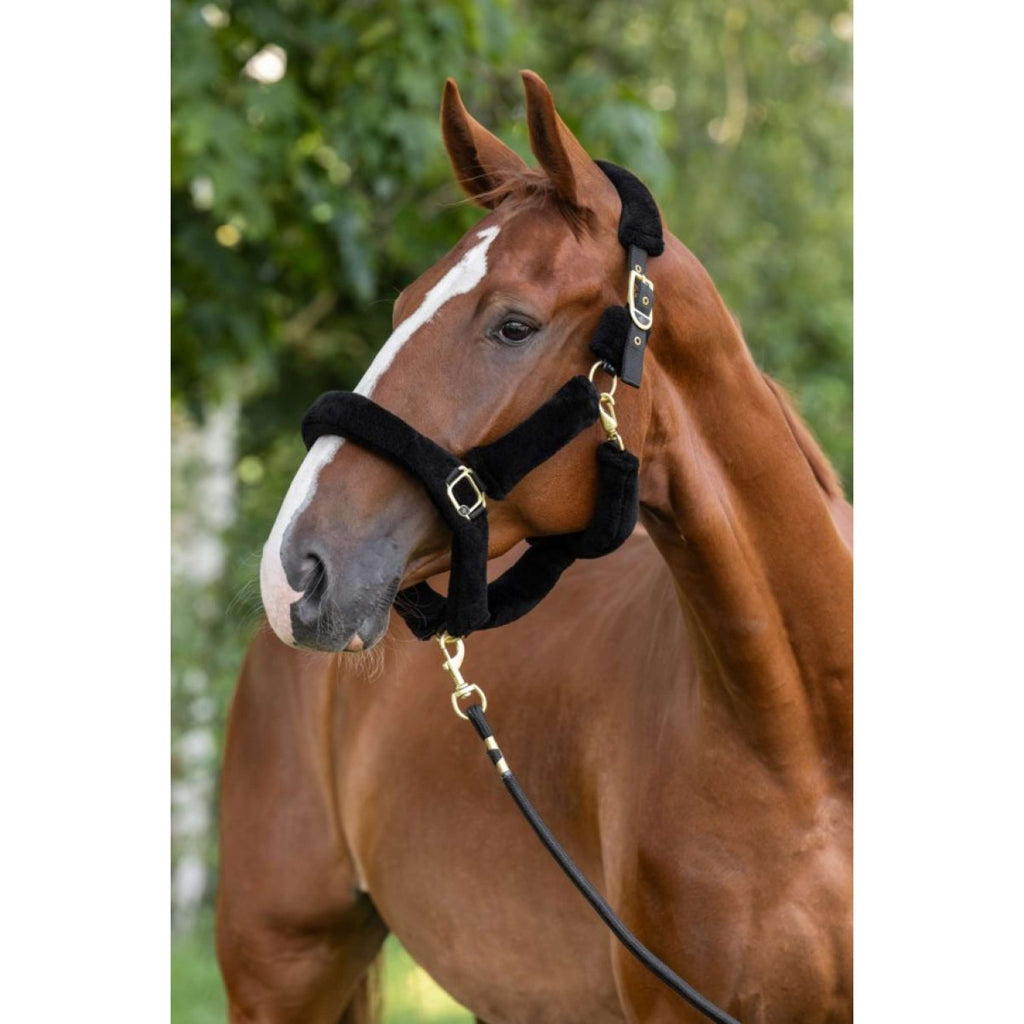 Covalliero Halster Supersoft 2.0 Zwart