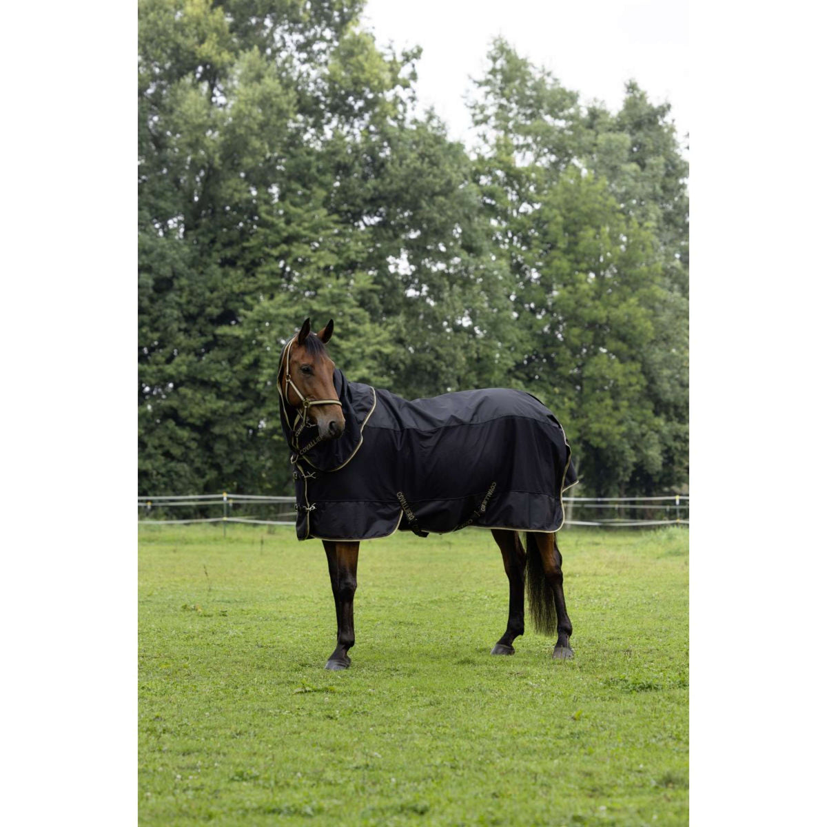 Covalliero Regendeken SS26 Zwart