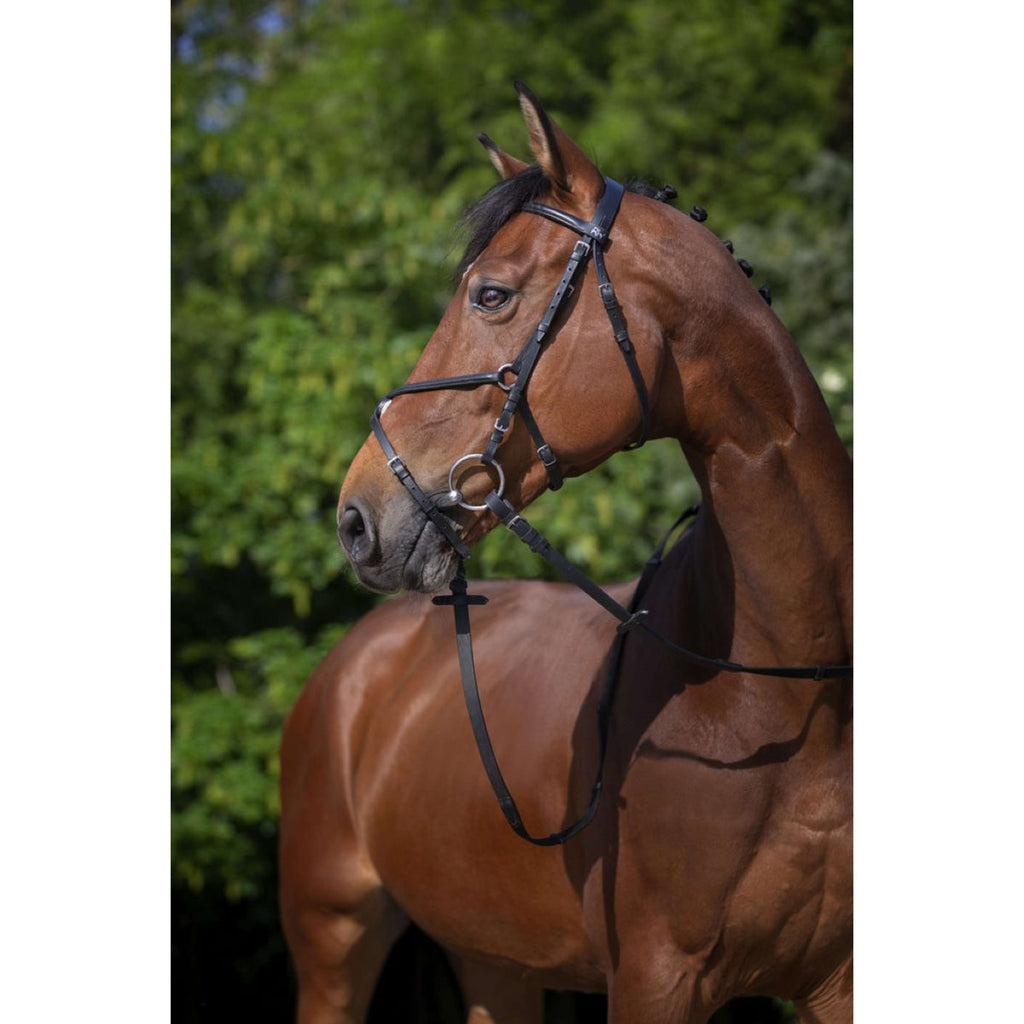 Riding World Hoofdstel met Mexicaanse Neusriem Zwart