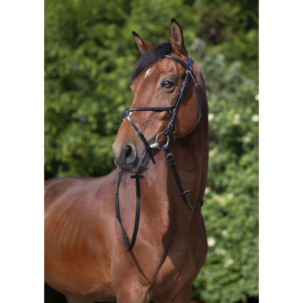Riding World Hoofdstel met Mexicaanse Neusriem Zwart
