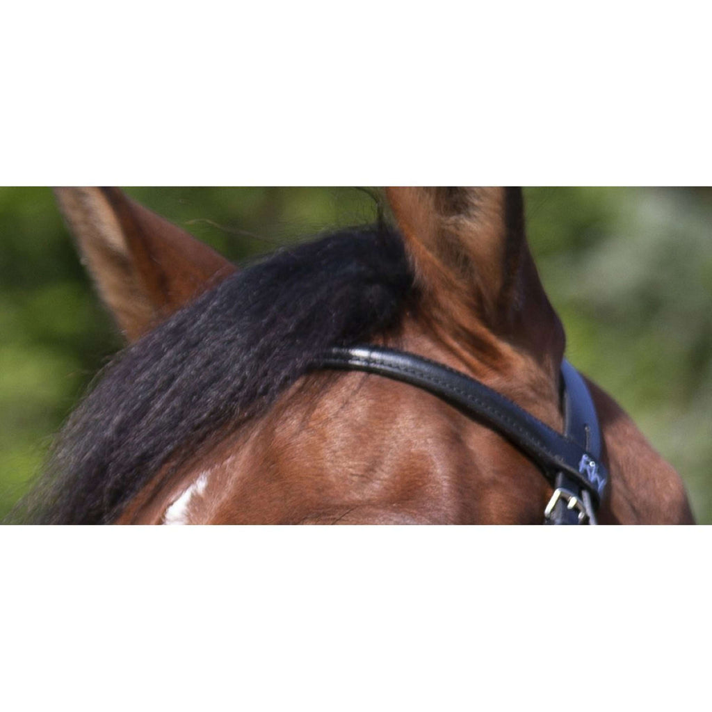Riding World Hoofdstel met Mexicaanse Neusriem Zwart