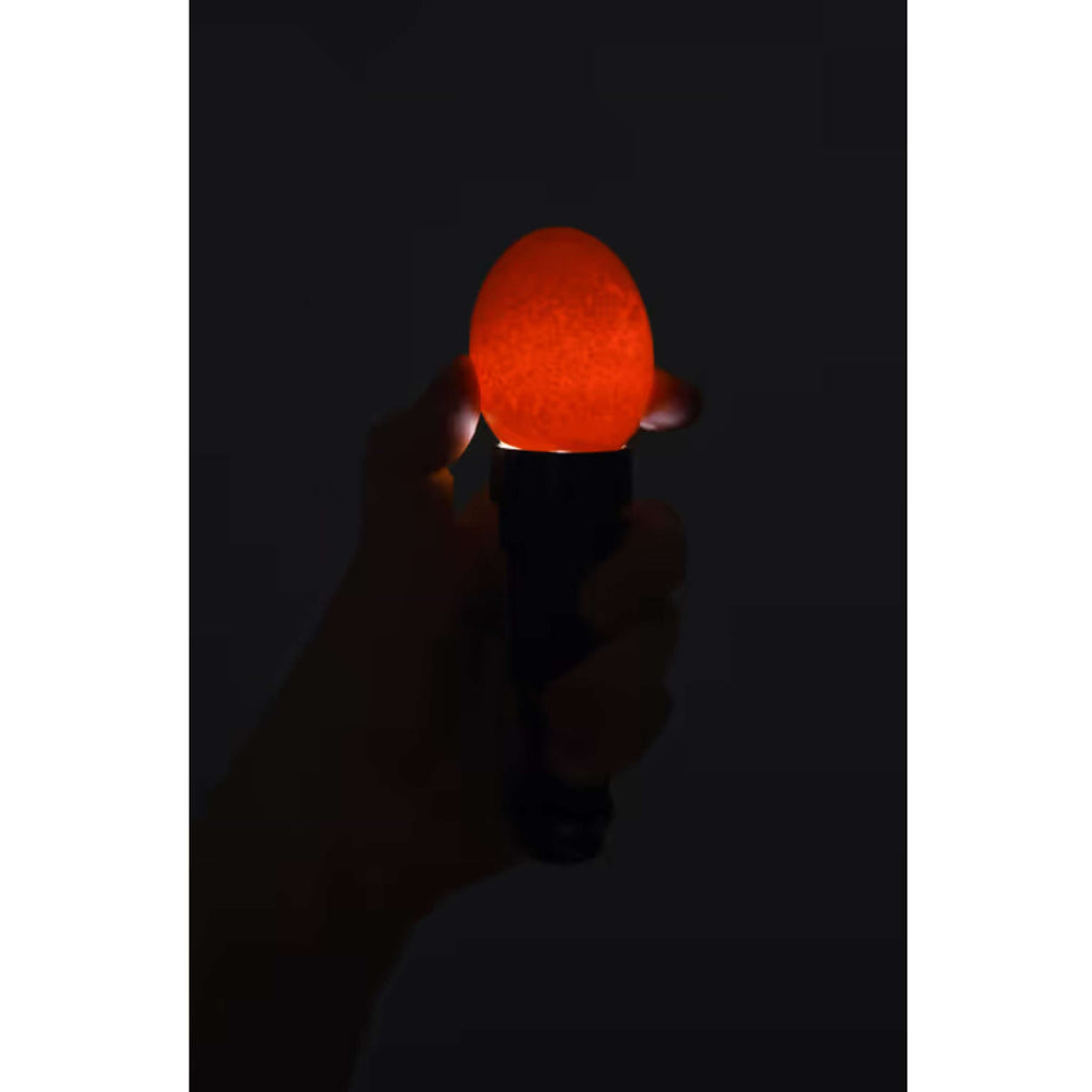 Kerbl LED Eierdoorlichtlamp Zwart