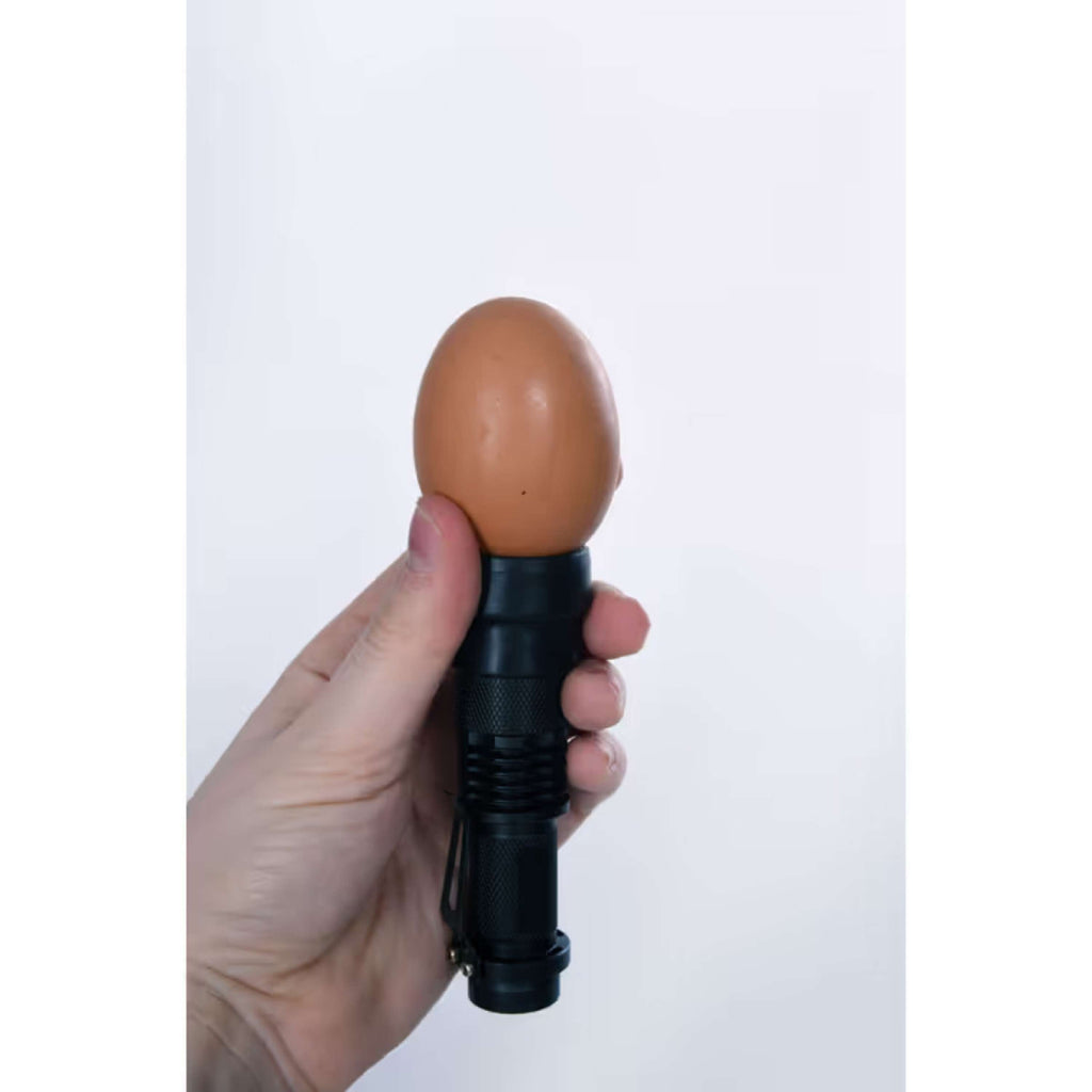 Kerbl LED Eierdoorlichtlamp Zwart