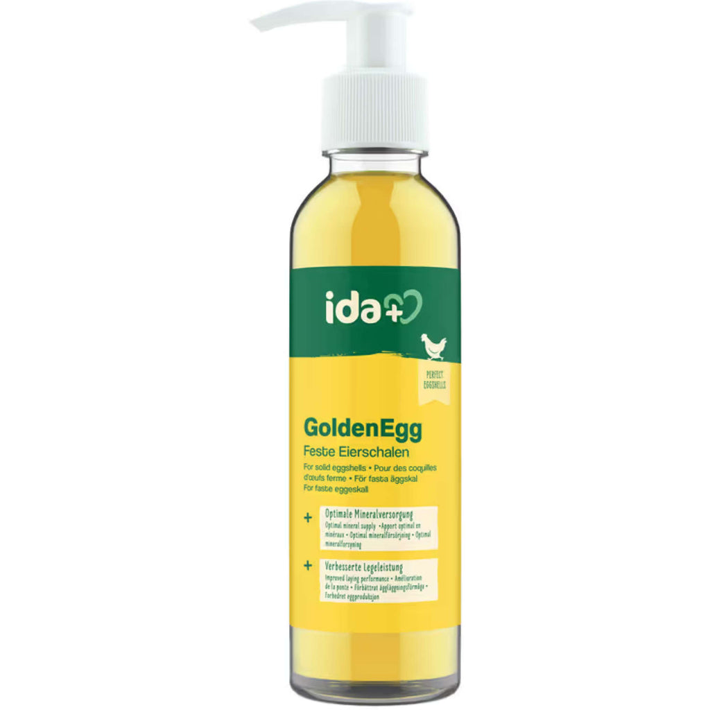 Kerbl IdaPlus GoldenEgg voor Kippen