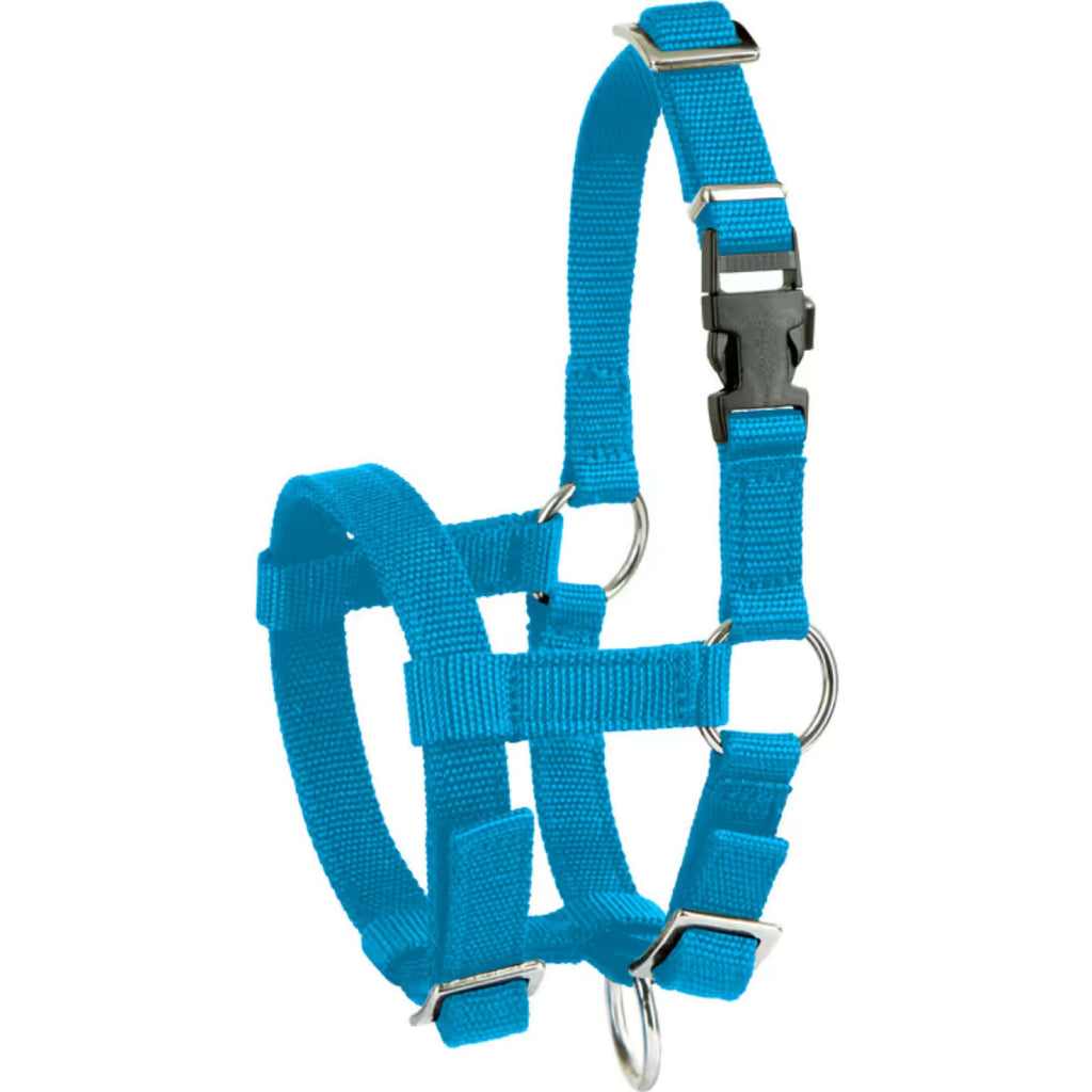 Kerbl Halster Verstelbaar Alpaca Blauw