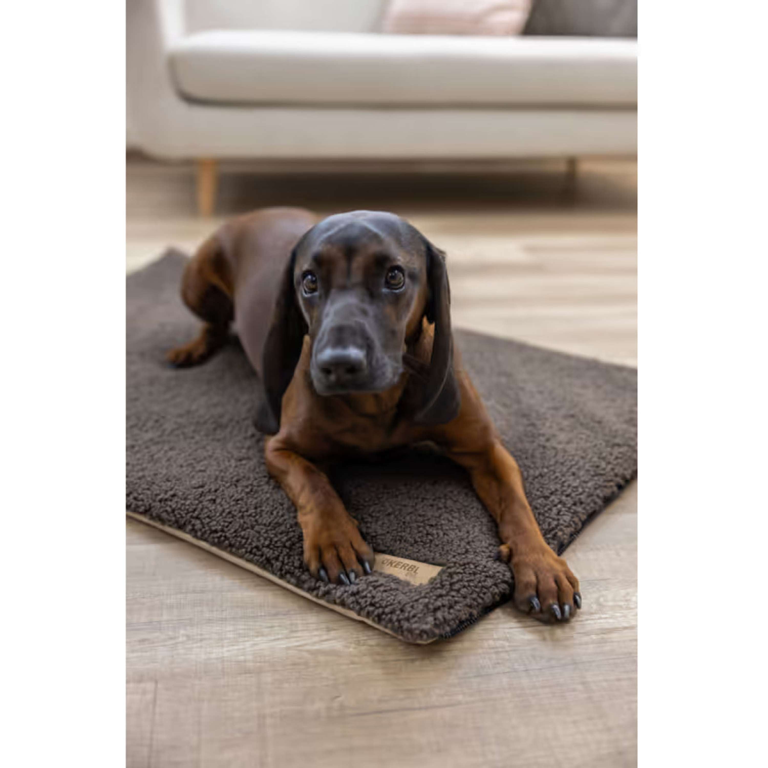 Kerbl Hondenmatras 2 in 1 Bruin/Beige