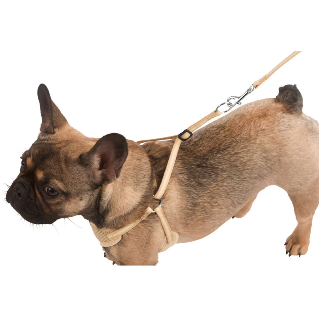 Kerbl Puppy Harnas met Lijn Beige