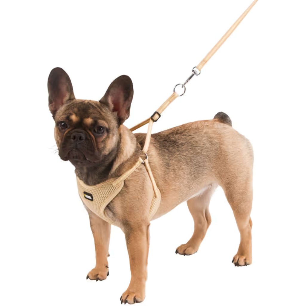 Kerbl Puppy Harnas met Lijn Beige