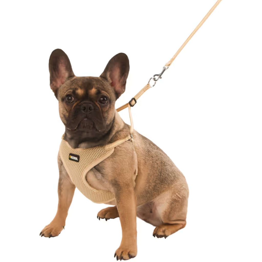 Kerbl Puppy Harnas met Lijn Beige