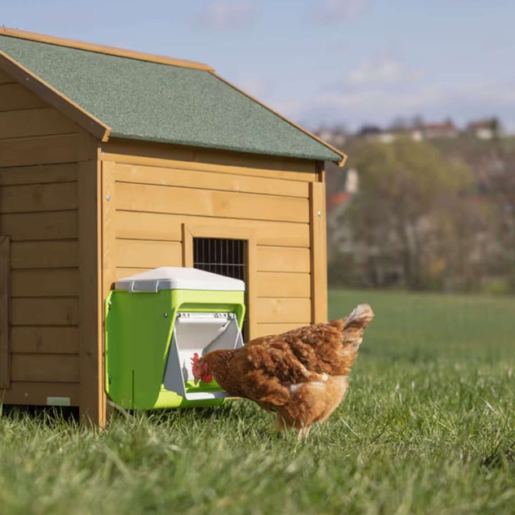 Kerbl Voederautomaat met Beschermklep Groen