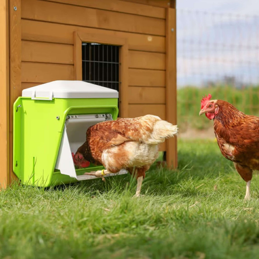 Kerbl Voederautomaat met Beschermklep Groen
