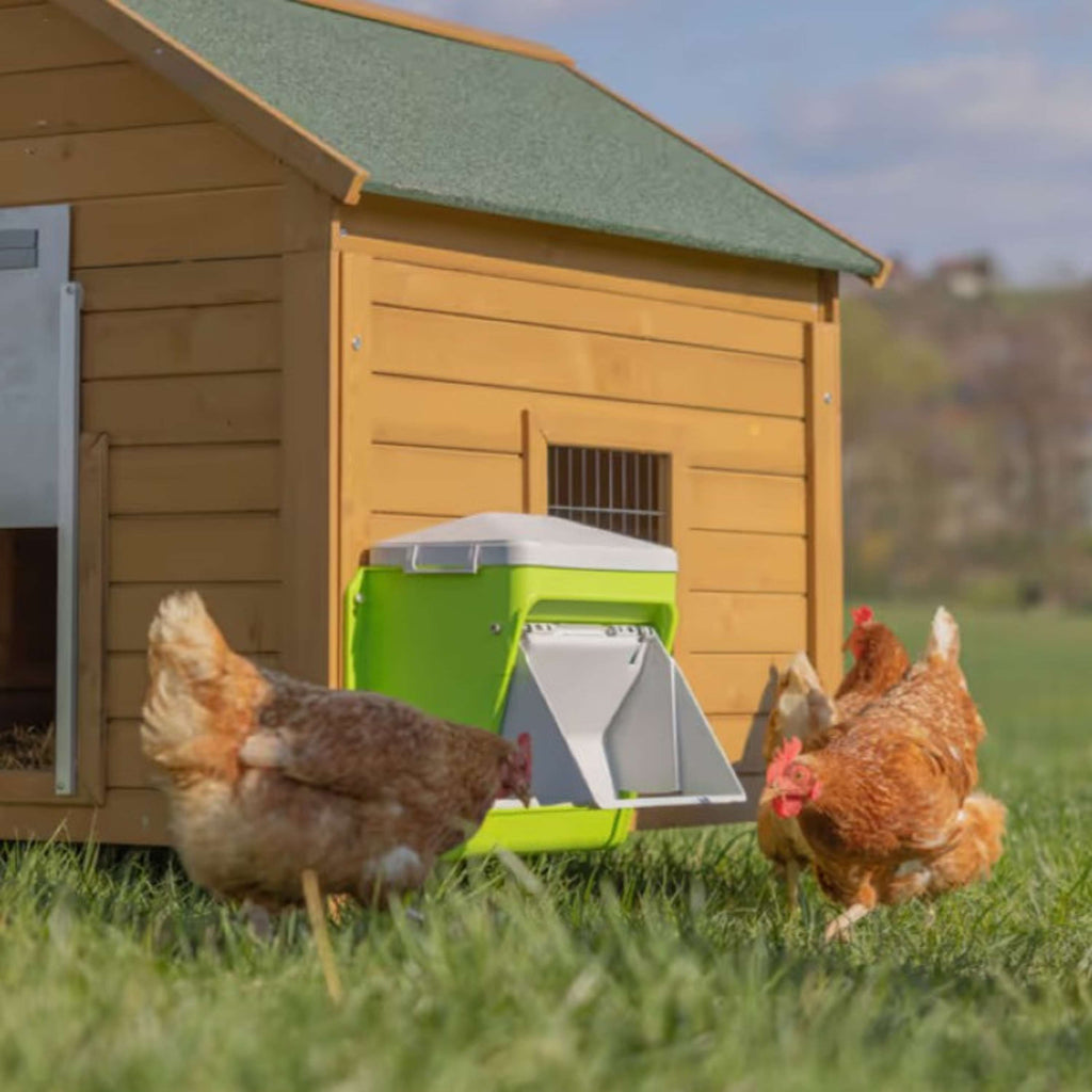 Kerbl Voederautomaat met Beschermklep Groen
