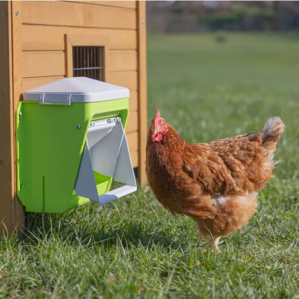 Kerbl Voederautomaat met Beschermklep Groen