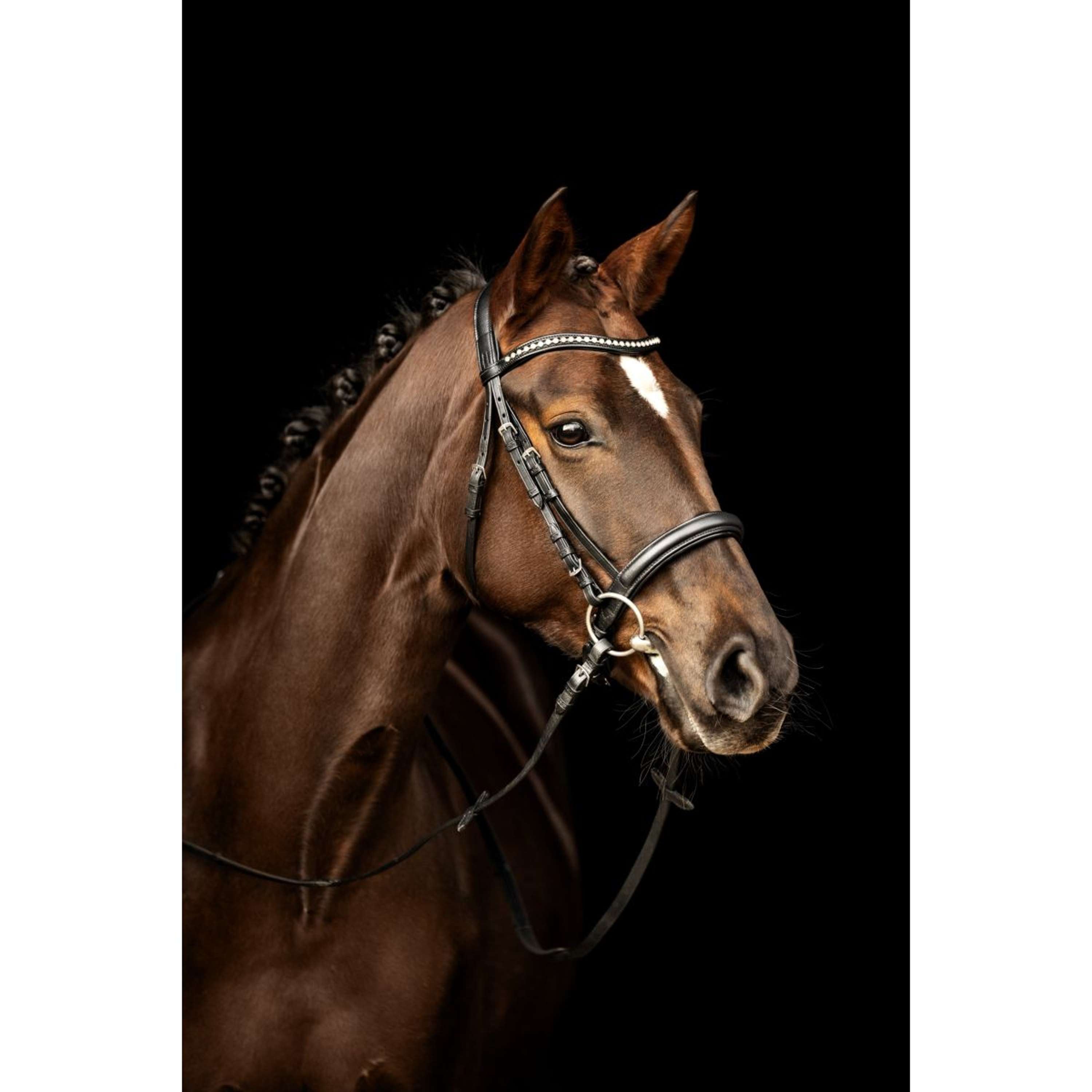 Kieffer hoofdstel Ultrasoft Sue Met Kristallen Zwart/Wit