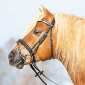 Kieffer Hoofdstel Ultrasoft Haflinger Zwart/Witte steentjes