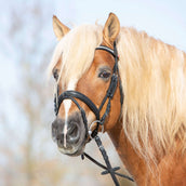 Kieffer Hoofdstel Ultrasoft Haflinger Zwart/Witte steentjes