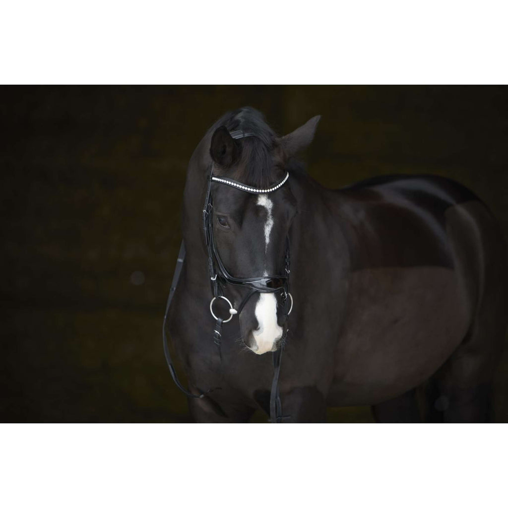 Kieffer Hoofdstel Amy Shine Zwart