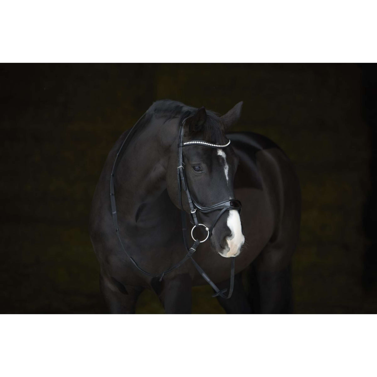 Kieffer Hoofdstel Amy Shine Zwart