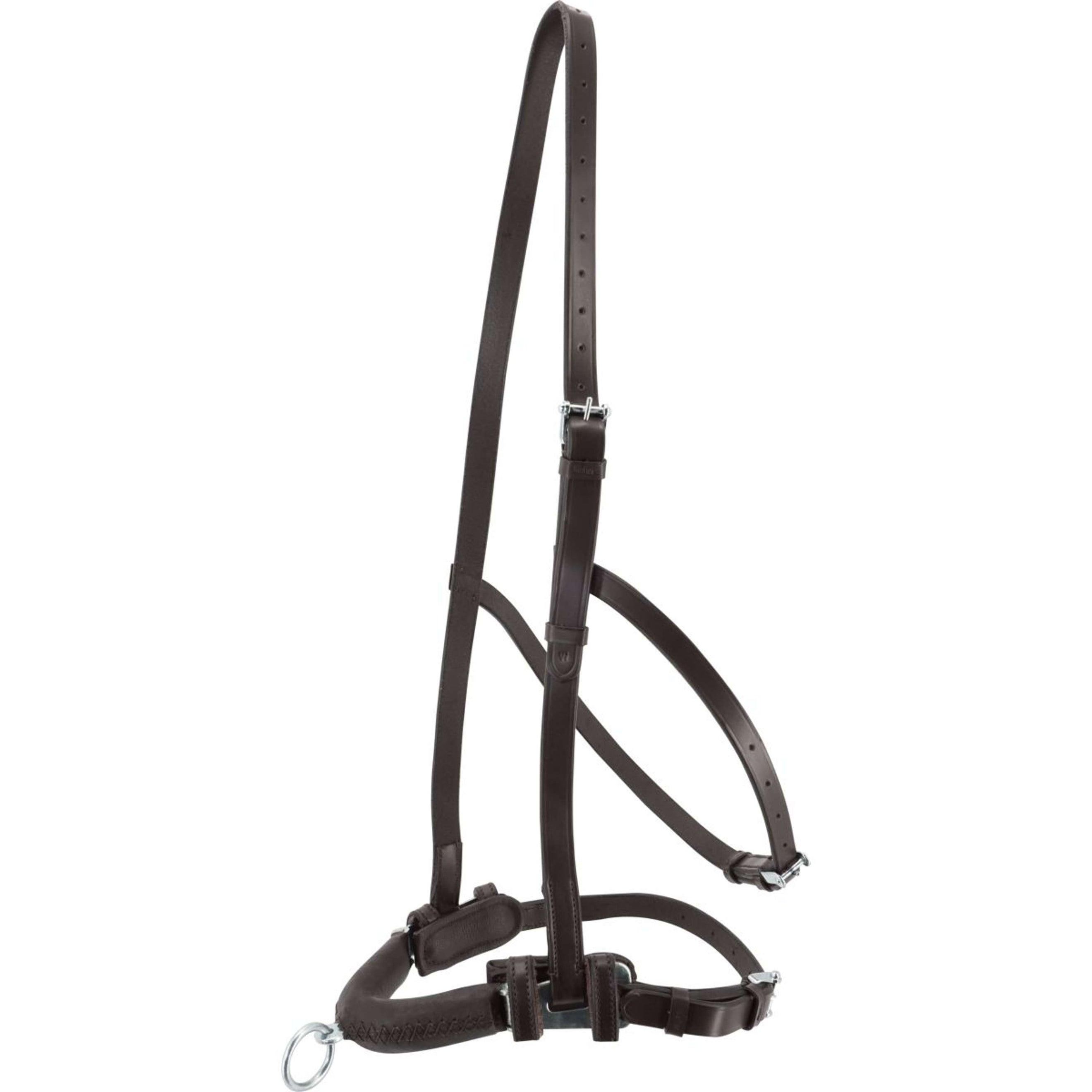 Kieffer Kaptoom Anja Beran Zwart