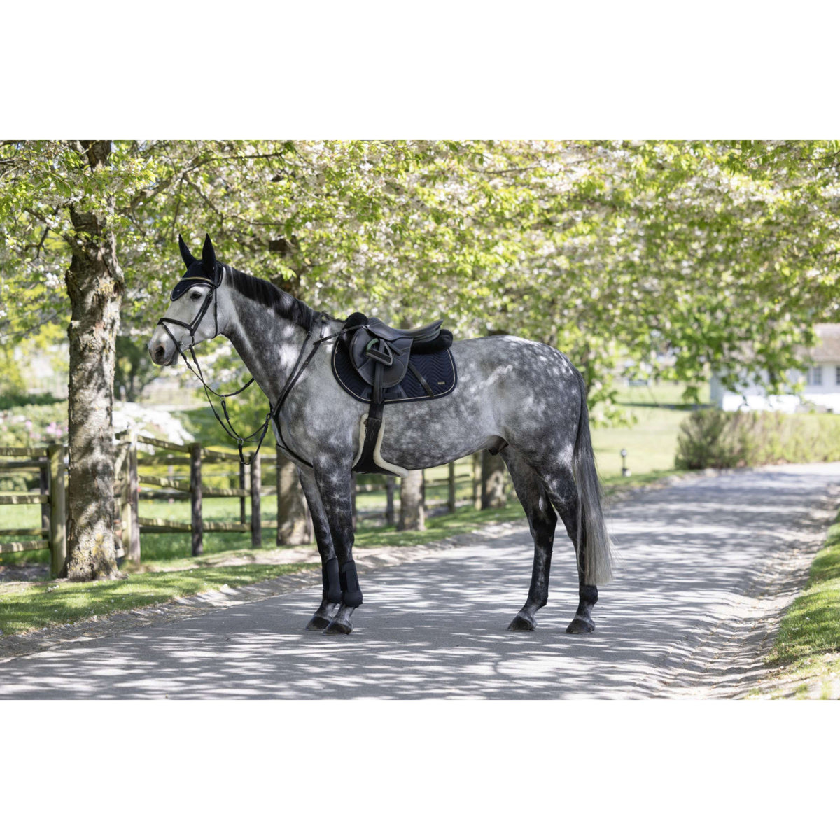 Kingsland Zadeldekje KLLucca Cooling Springen Navy