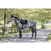 Kingsland Zadeldekje KLLucca Cooling Springen Navy