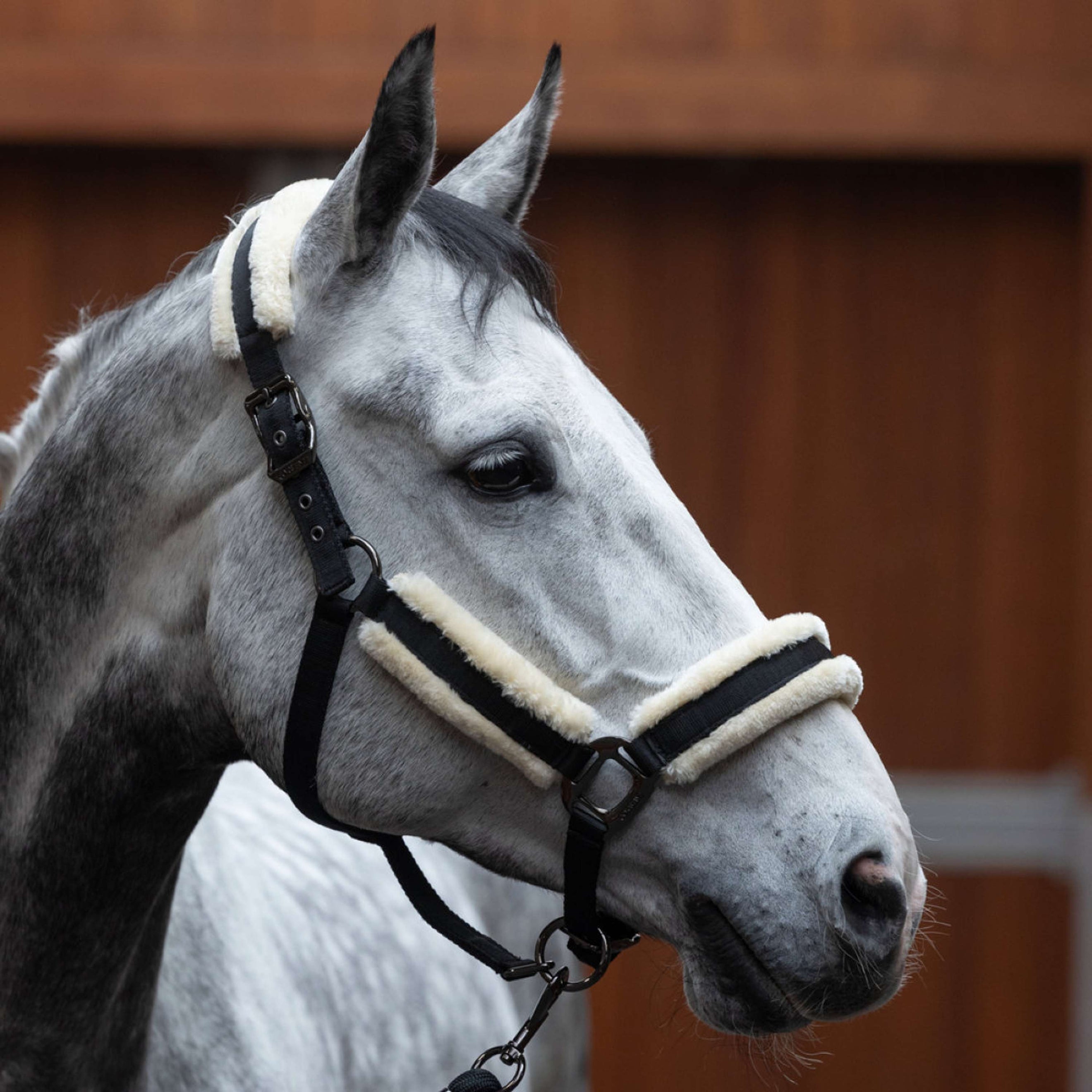 Kingsland Halsterset KLLexie met Bont Zwart Kingsland Halsterset KLLexie met Bont Zwart
