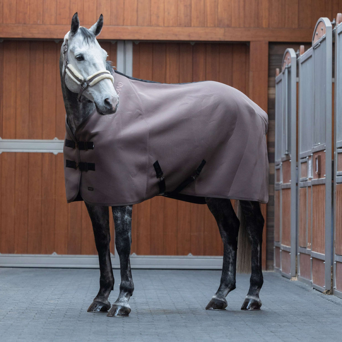 Kingsland Cooler Deken KLLexie Brown Iron