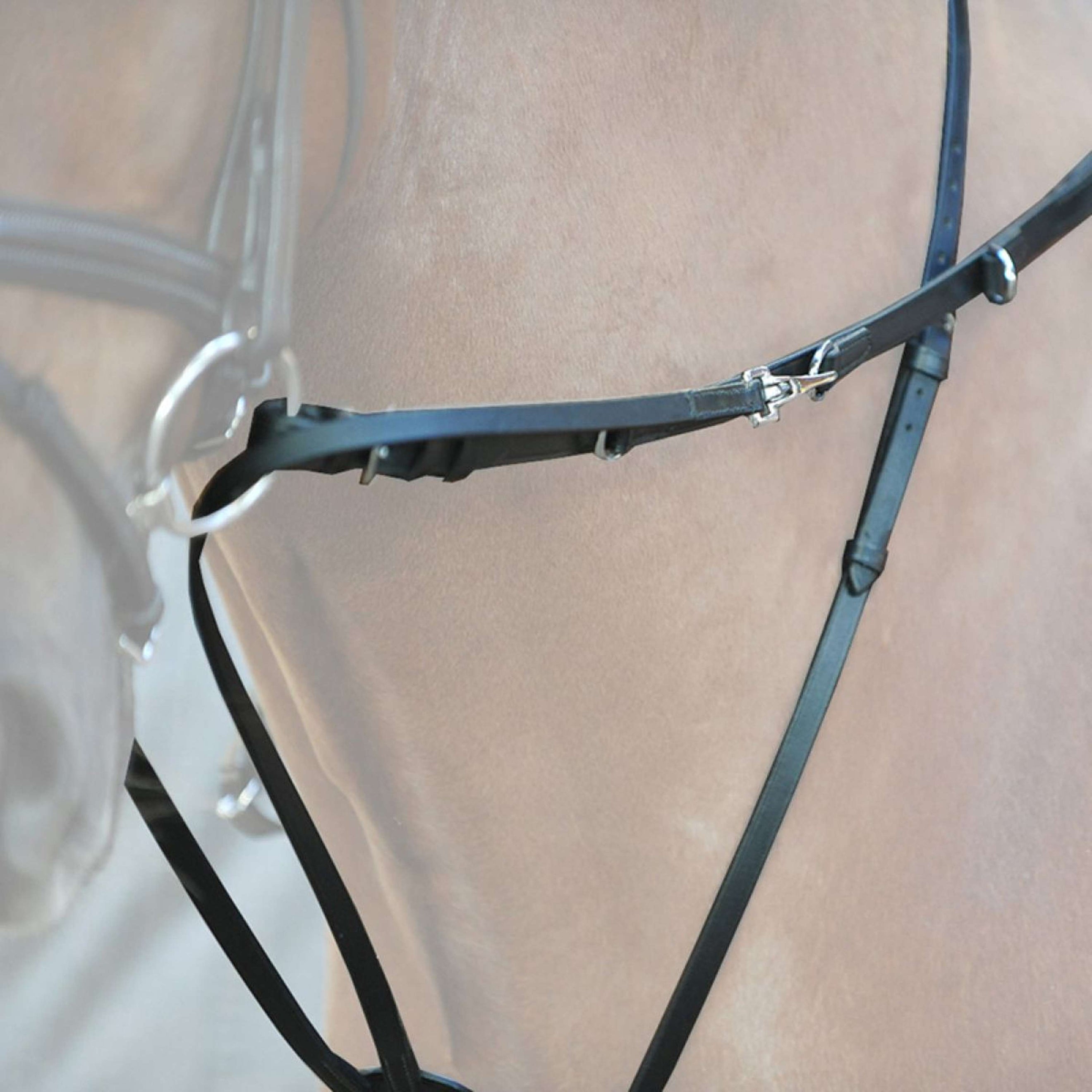 Kavalkade Thiedemann Teugels Bruin Kavalkade Thiedemann Teugels Bruin