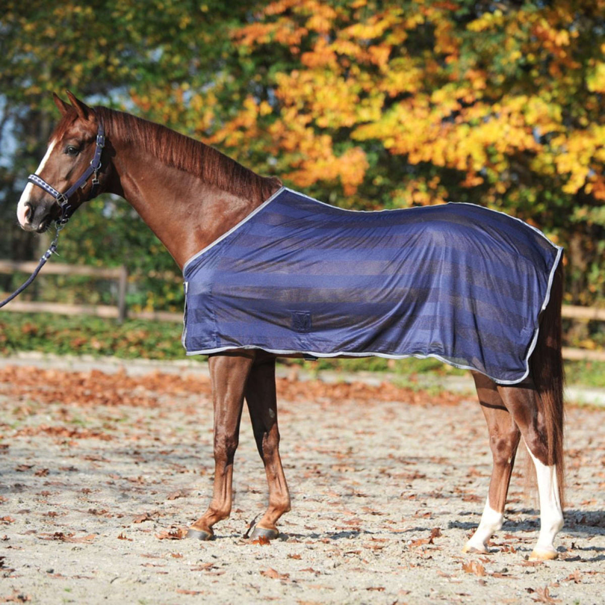 Kavalkade Vliegendeken Stripe Navy