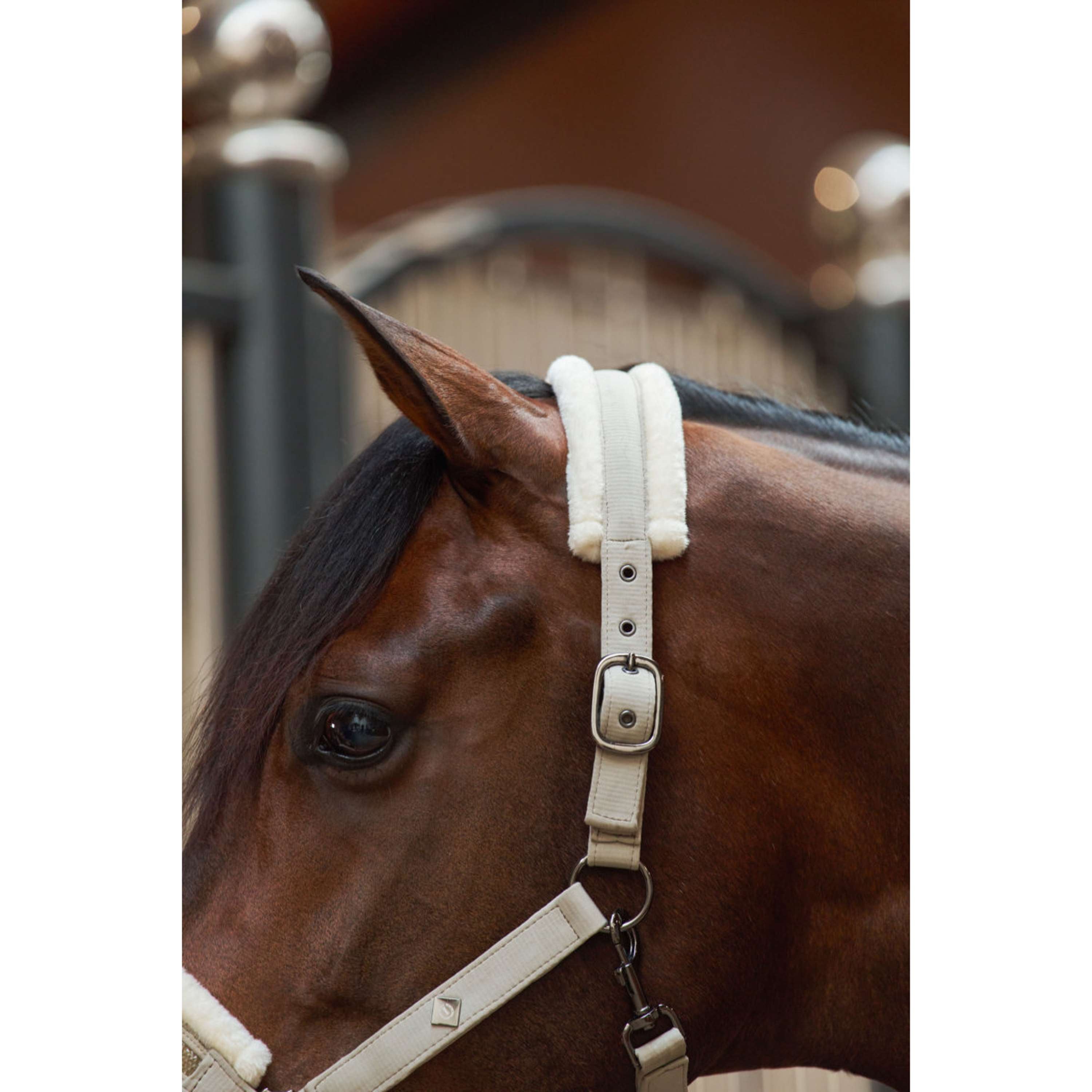 Imperial Riding Halster IRHJewel Taupe