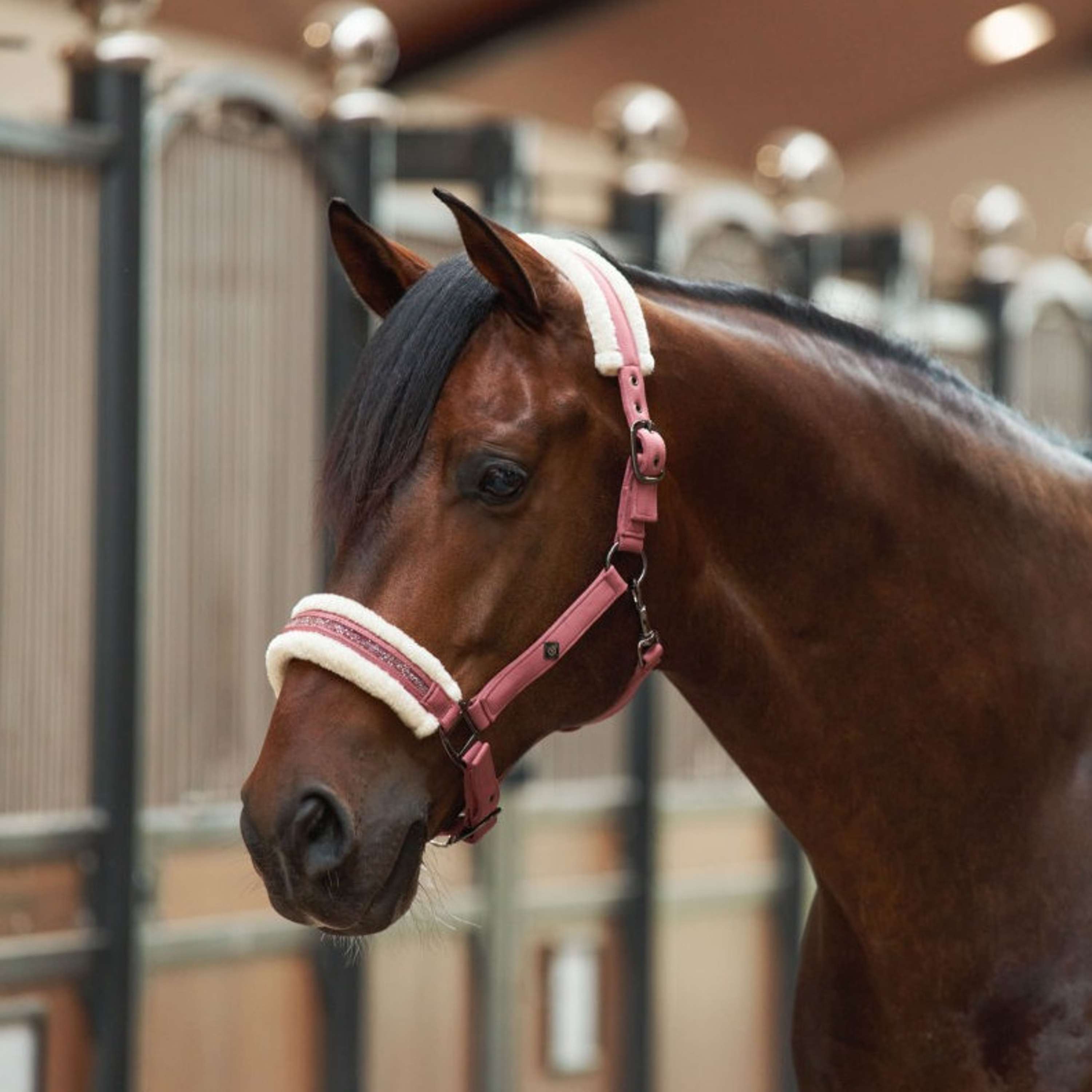 Imperial Riding Halster IRHJewel Mauve