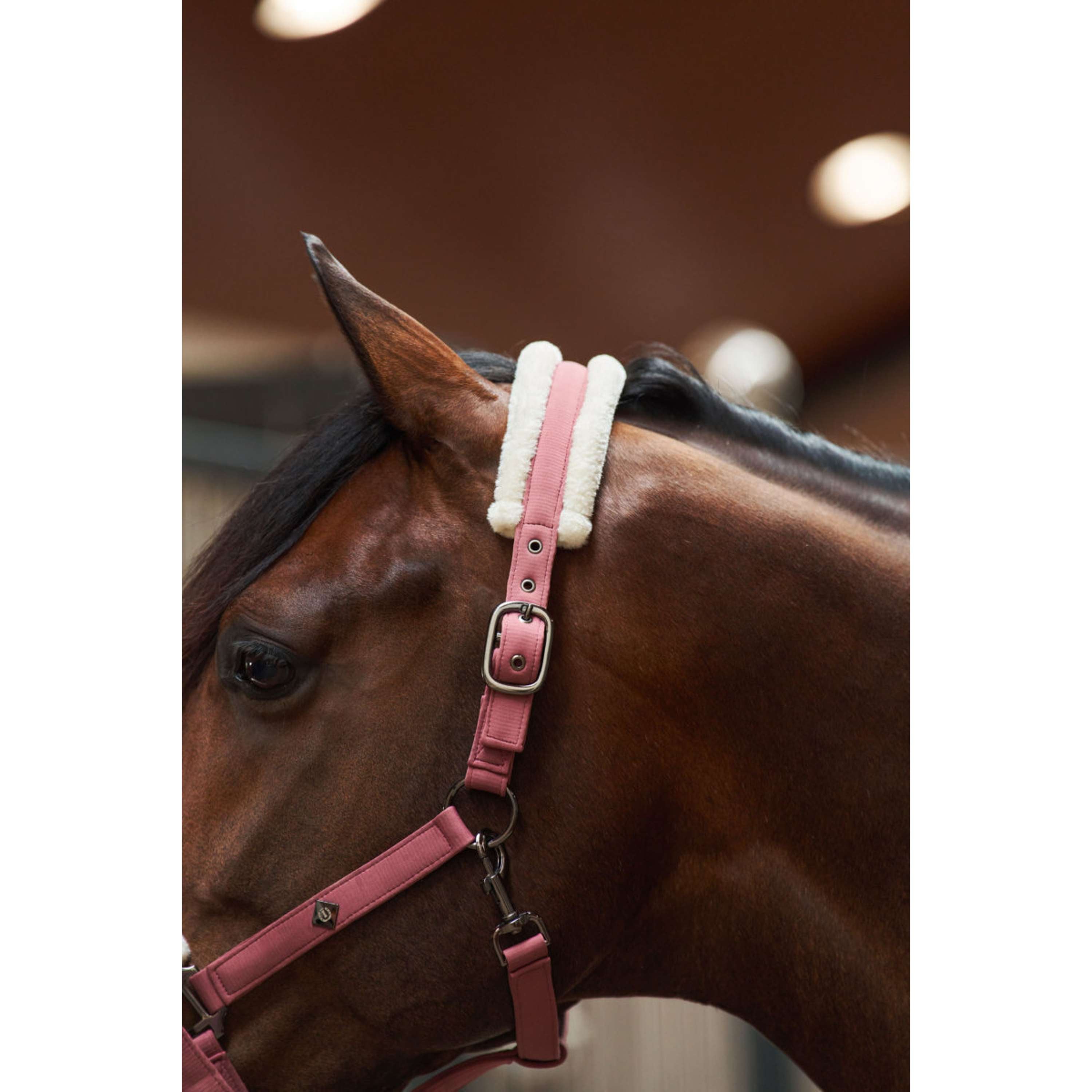 Imperial Riding Halster IRHJewel Mauve