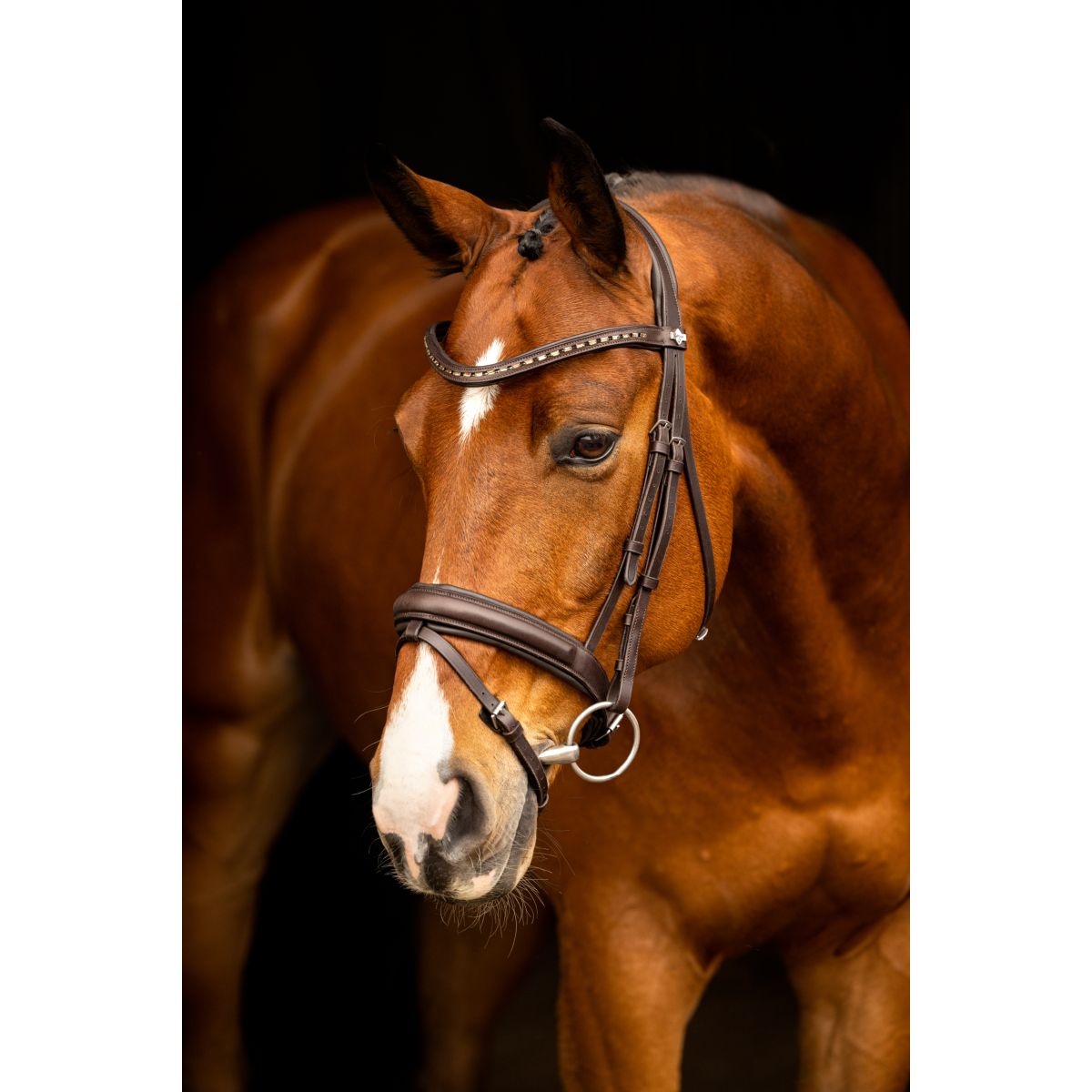 LeMieux Hoofdstel Arika Dressage Bruin/Zilver