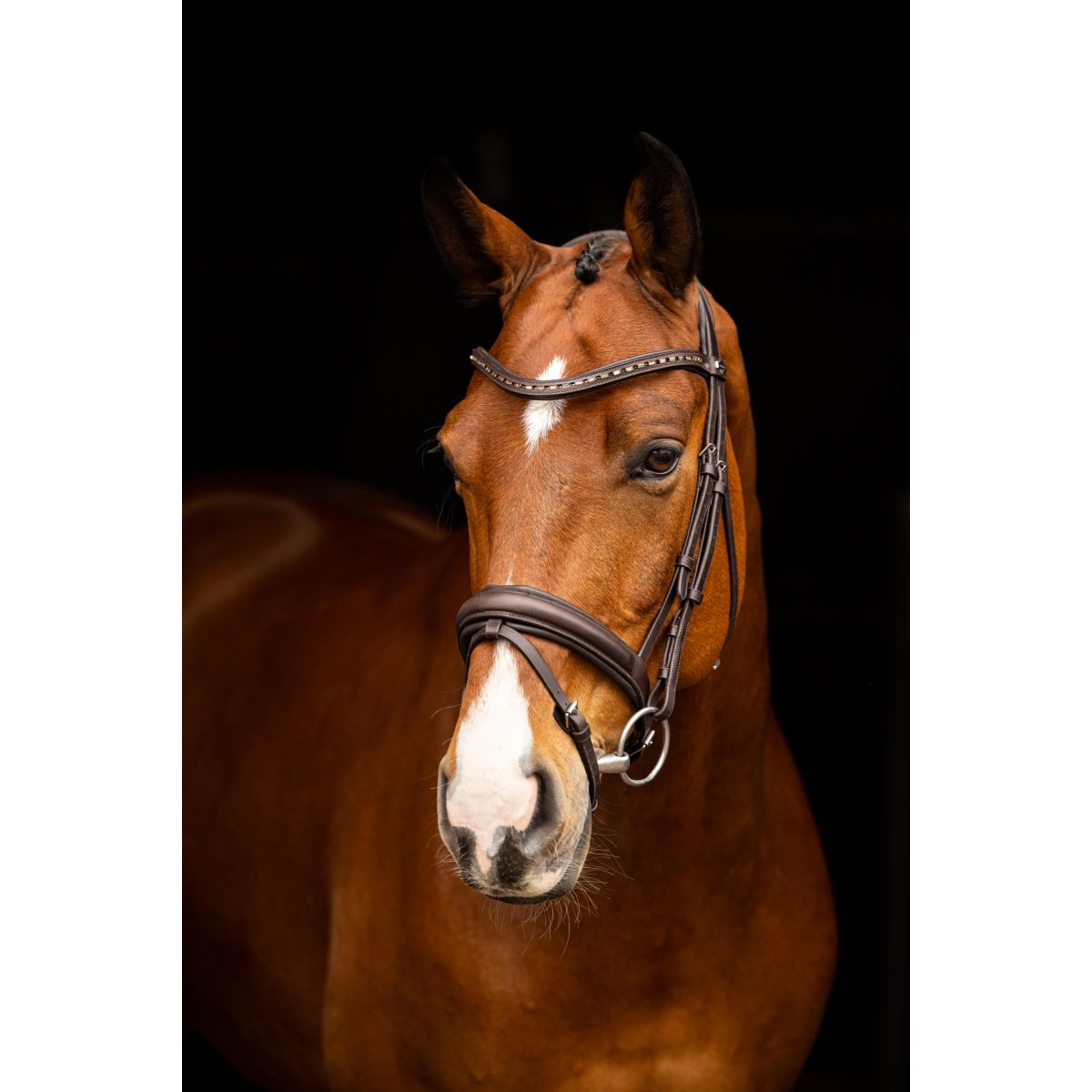 LeMieux Hoofdstel Arika Dressage Bruin/Zilver