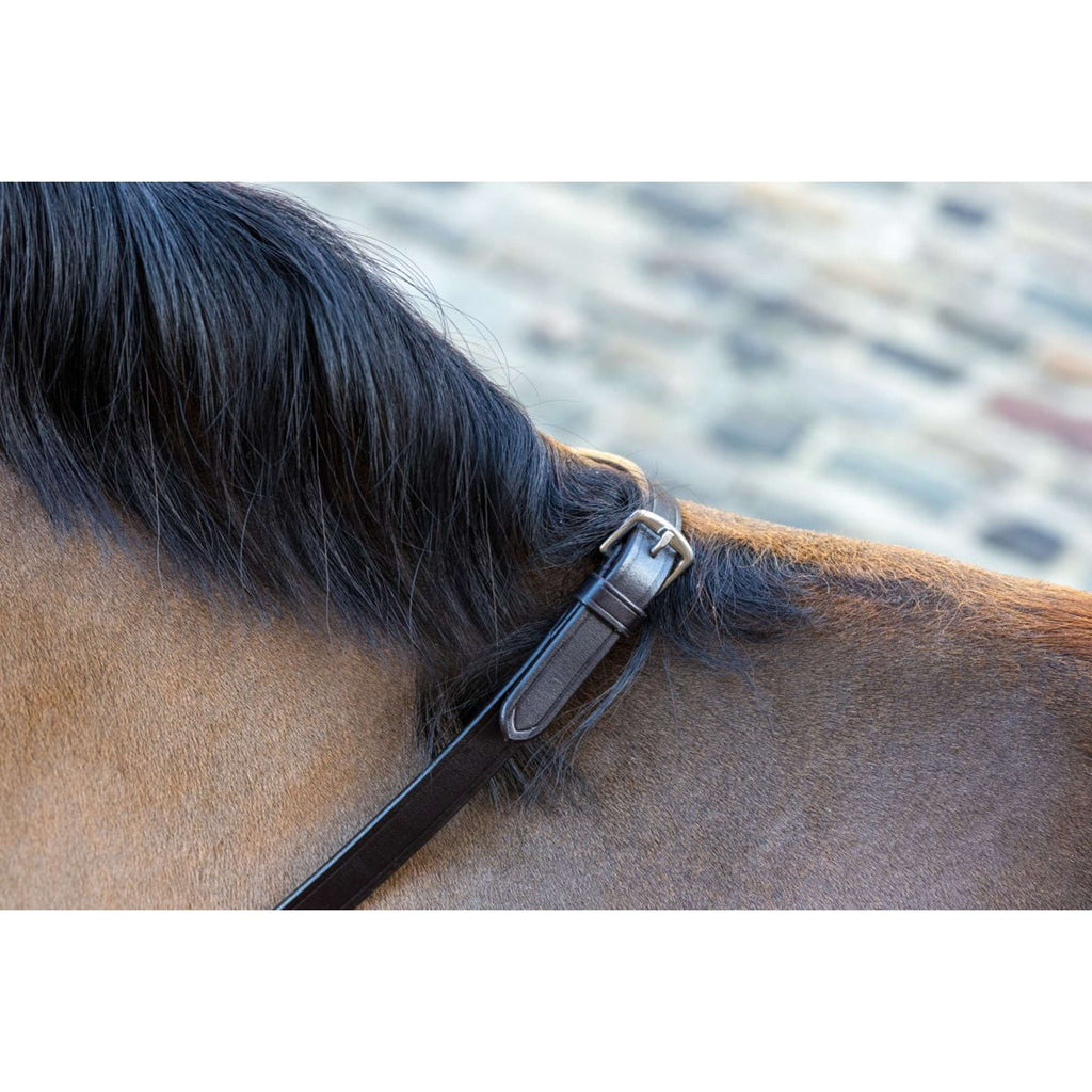 LeMieux Teugels Arika Soft Rubber with Stopper Bruin/Brass