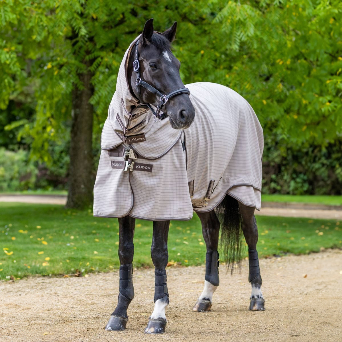 LeMieux Zomerdeken Kudos Field Stone