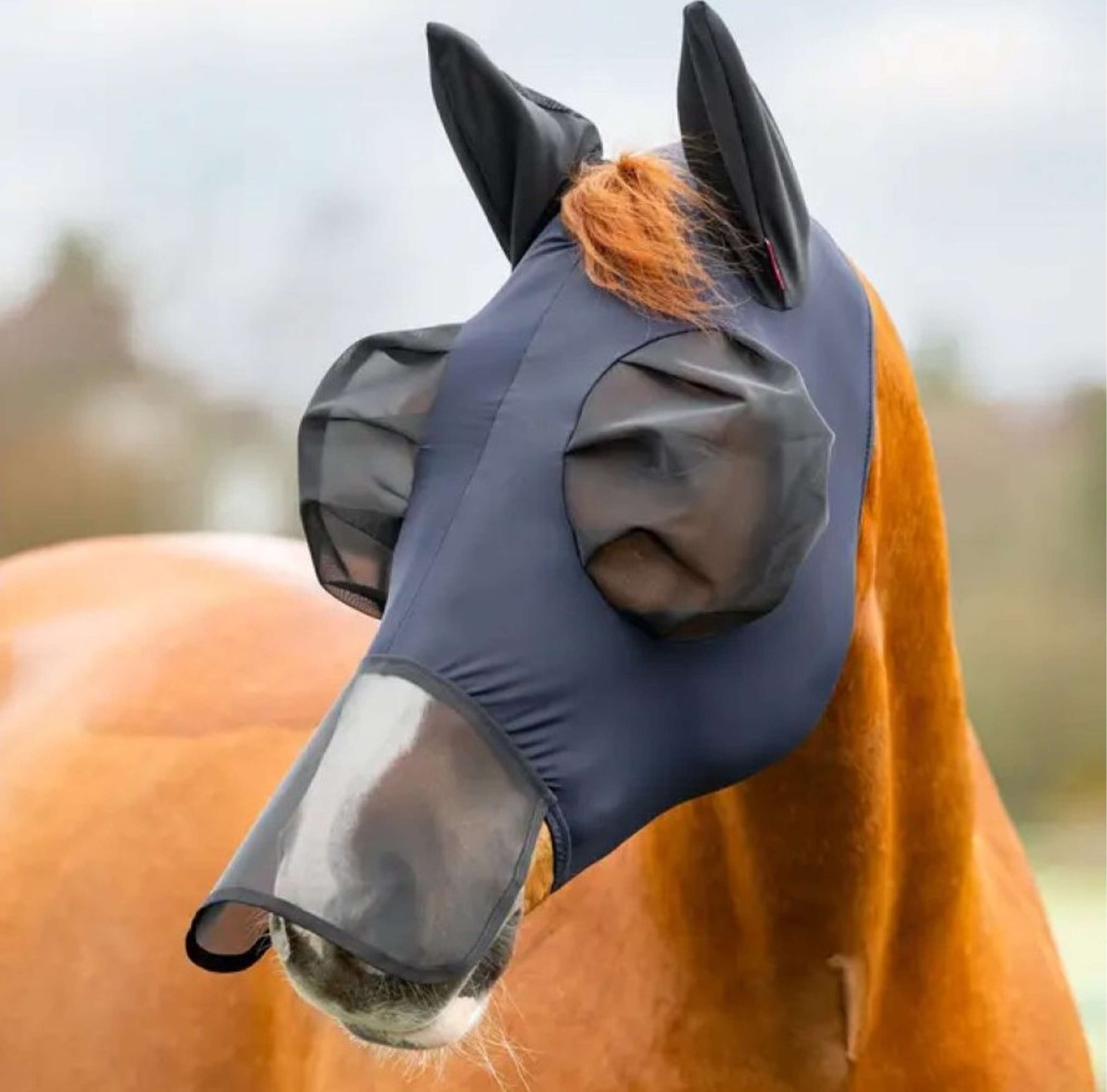 LeMieux Vliegenmasker Bug Relief Met Neusnetje Navy