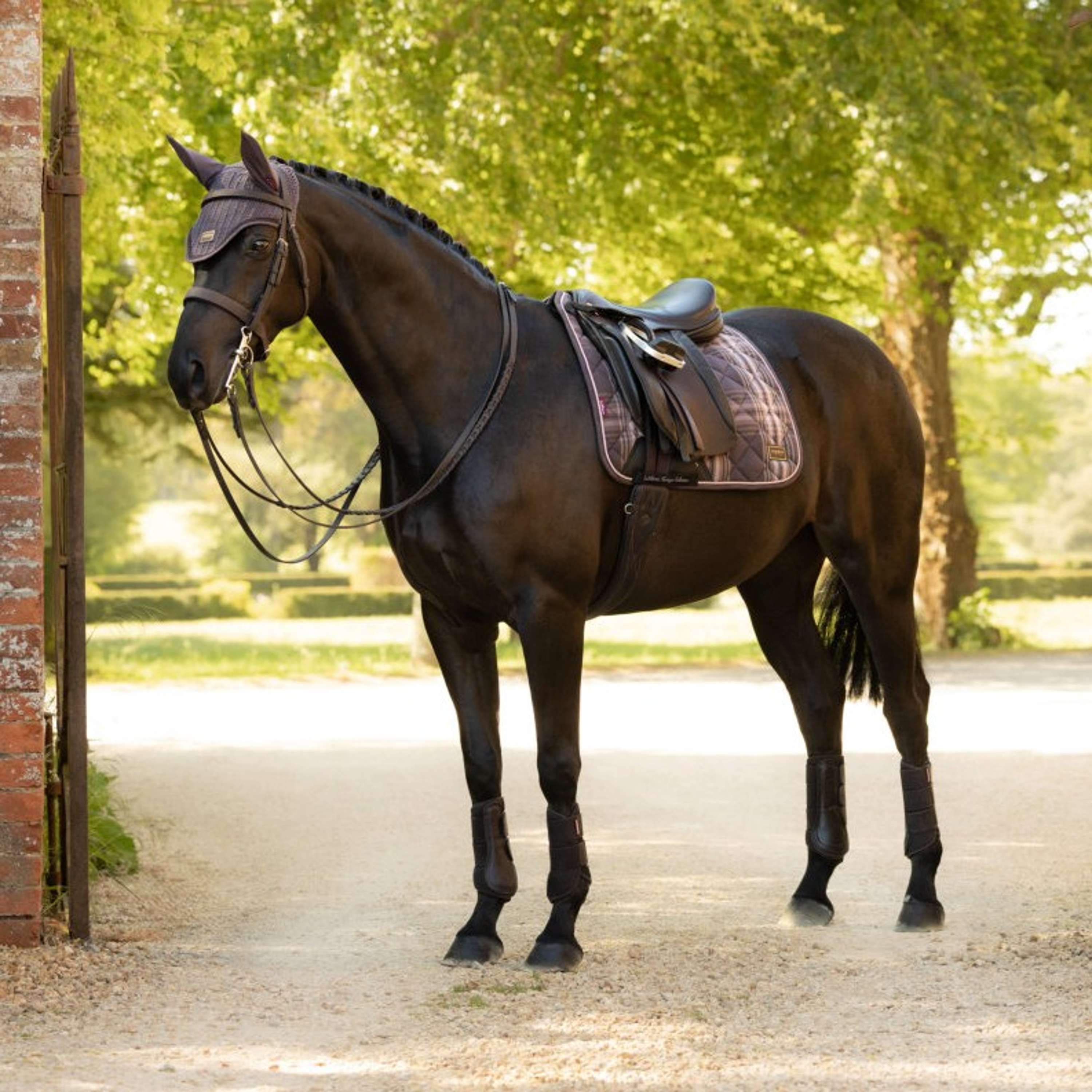 LeMieux Zadeldekje Heritage Check Square Dressuur Cocoa