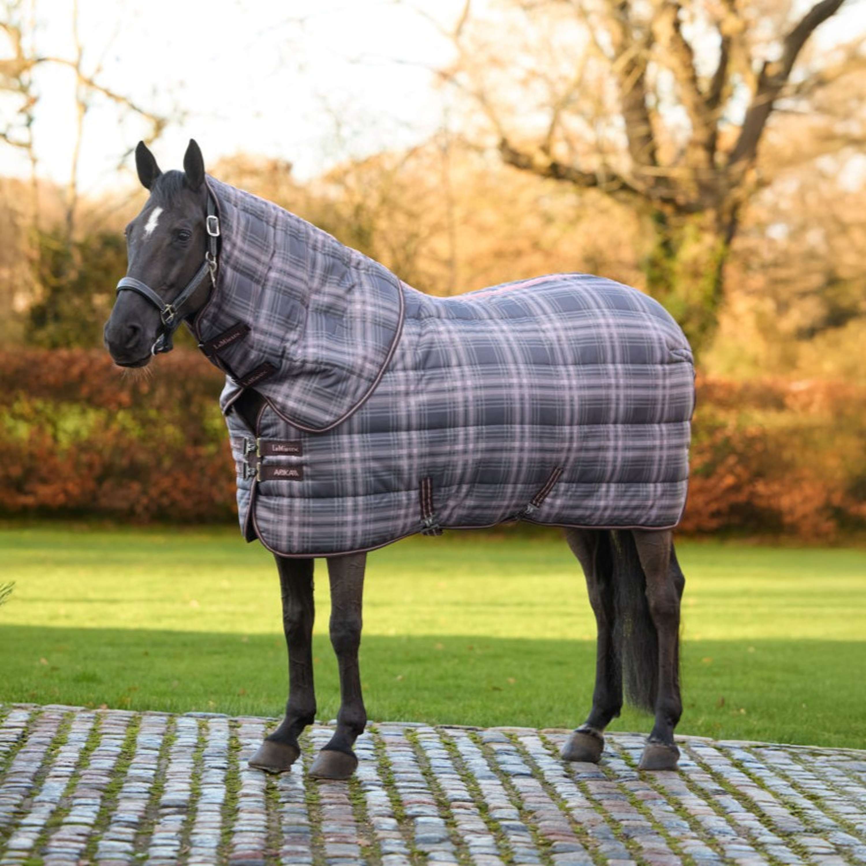 LeMieux Staldeken Arika Heritage Check with Neck 200g Cocoa