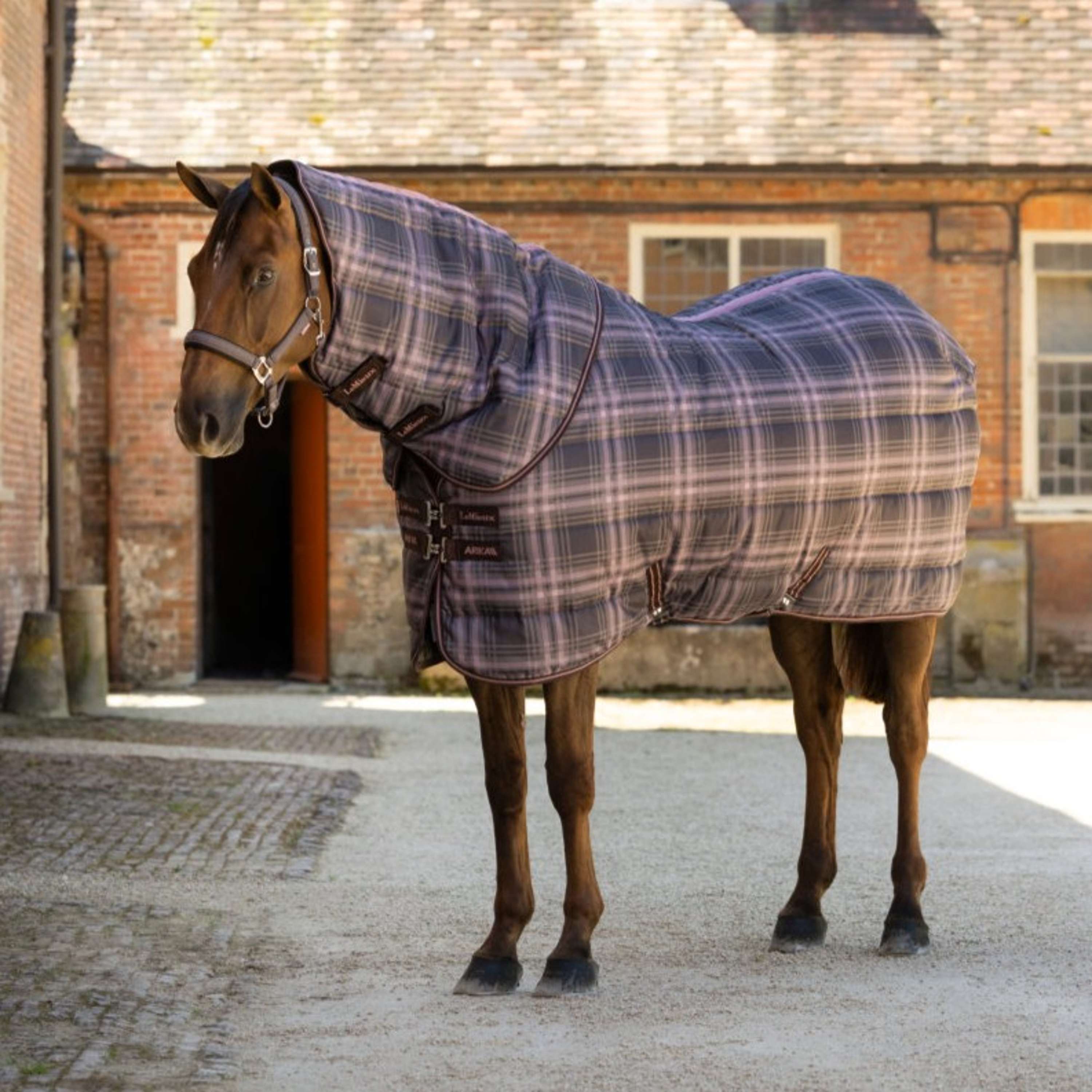 LeMieux Staldeken Arika Heritage Check with Neck 200g Cocoa