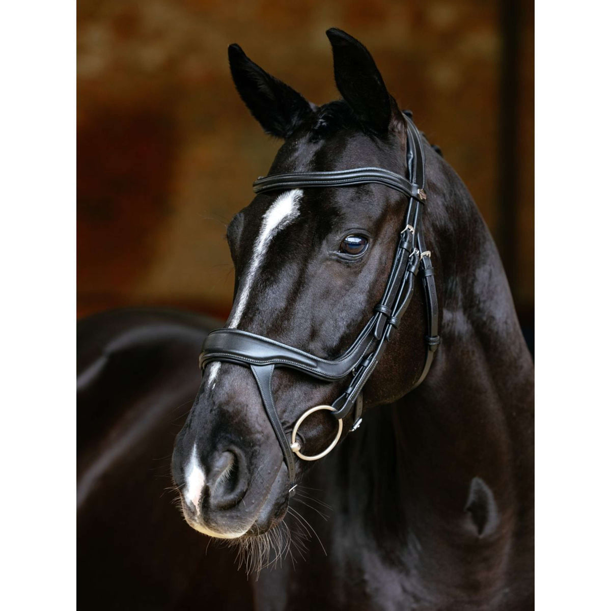 LeMieux Hoofdstel Arika Split Noseband Zwart